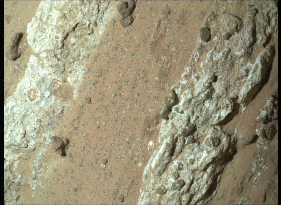 Fotomural Perseverance Finds a Rock With 'Leopard Spots'