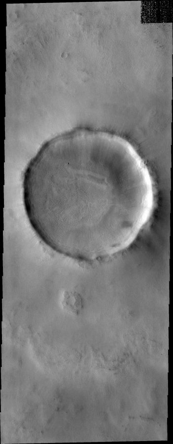 Fotomural Surface Texture