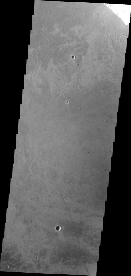 Fotomural Surface Texture