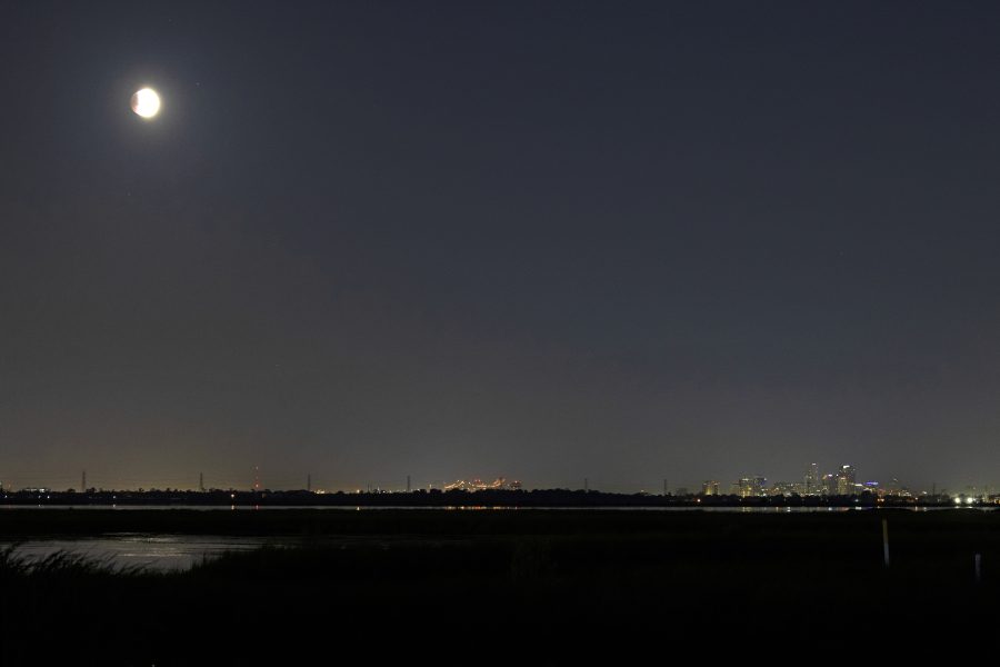 Fotomural Super Flower Blood Moon over New Orleans