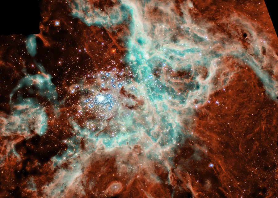 Fotomural Doradus Nebula