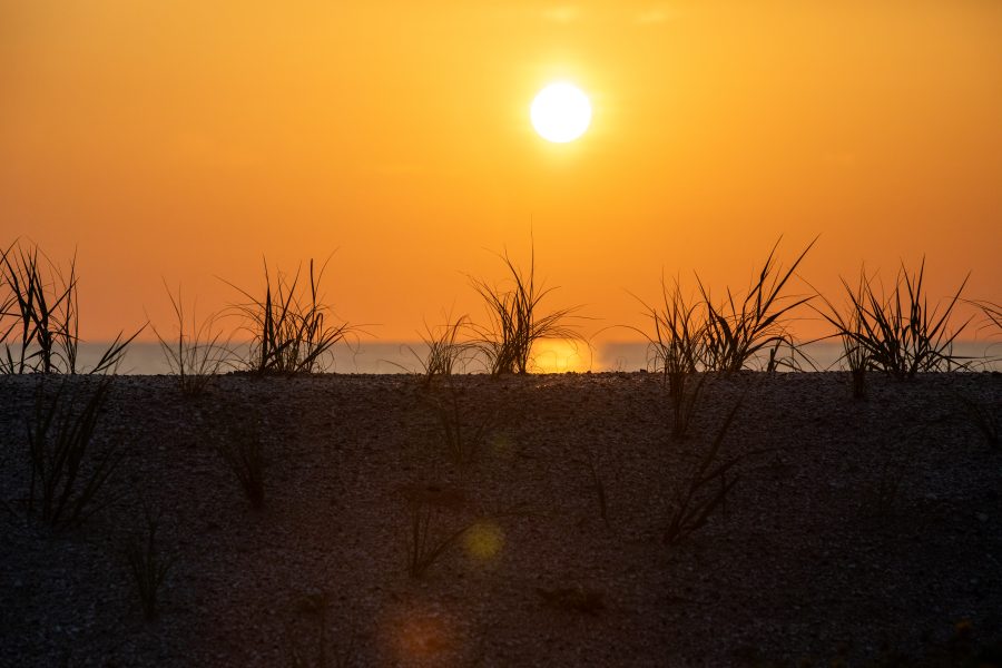 Fotomural Creative Photography - Sunrise; Beach Restoration