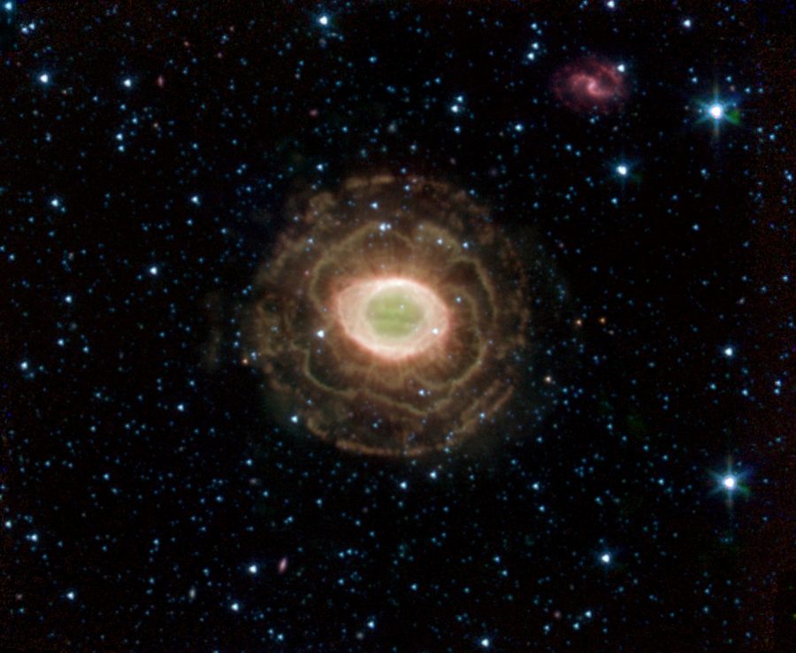 Fotomural Ring Beholds a Delicate Flower