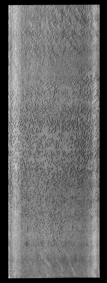 Fotomural Polar Textures