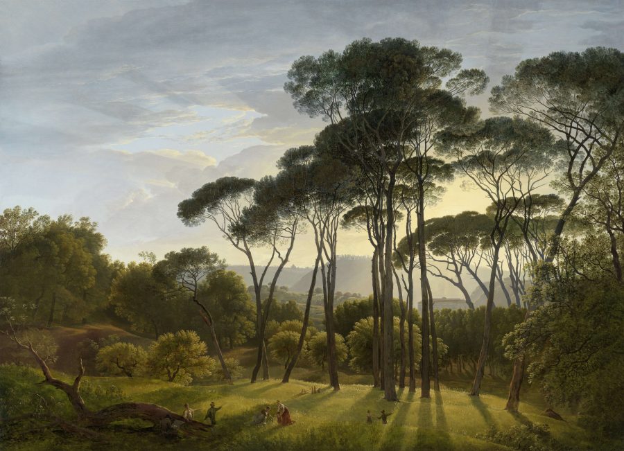 Fotomural Hendrik Voogd - Italian landscape with Umbrella Pines