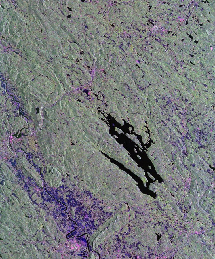 Fotomural Space Radar Image of Harvard Forest