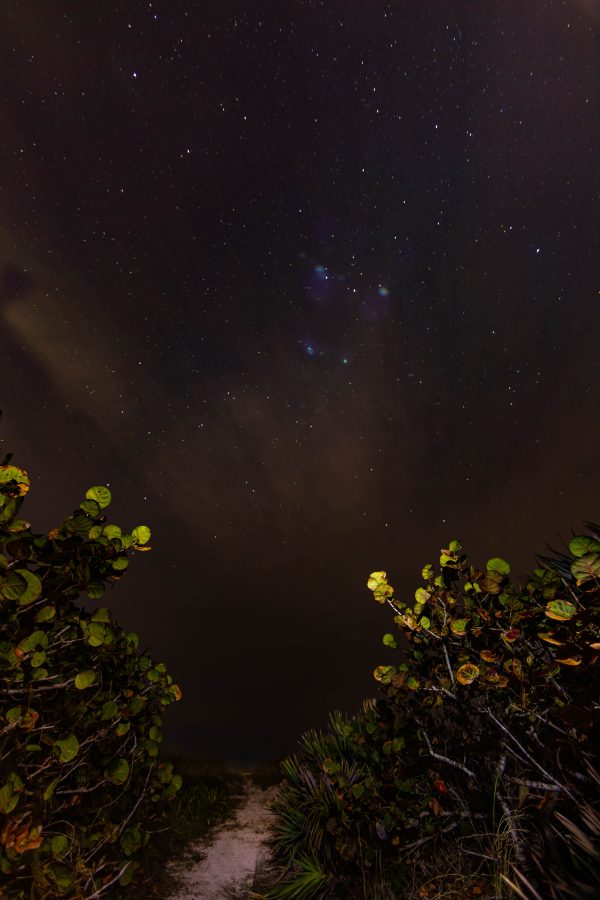 Fotomural Creative Photography - Night Sky at Beach