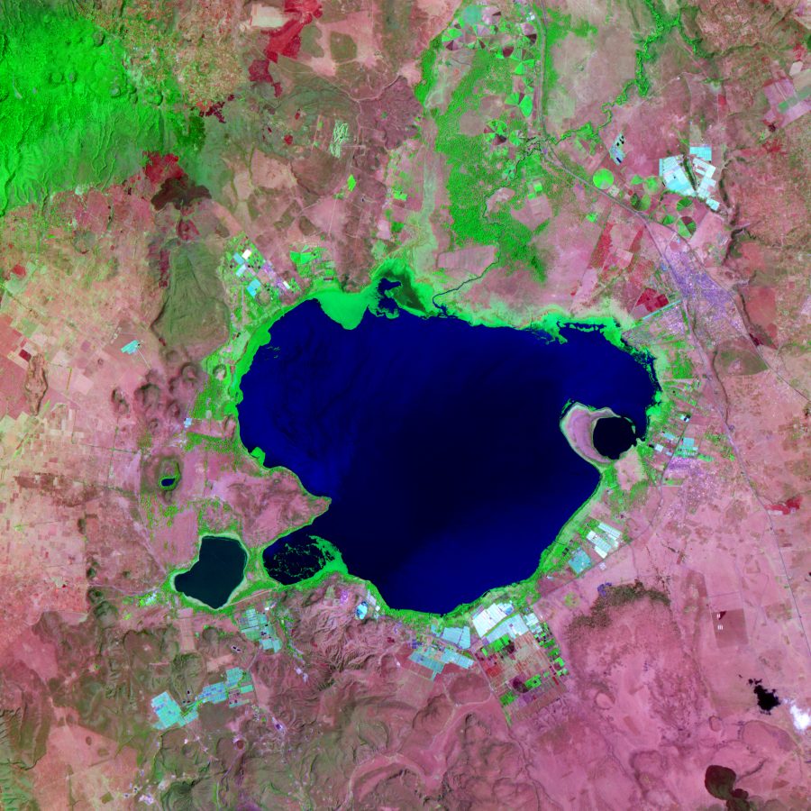 Fotomural Happy Mother's Day - Flowers Fields as Seen by NASA Satellite