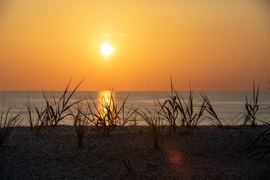 Fotomural Creative Photography - Sunrise; Beach Restoration